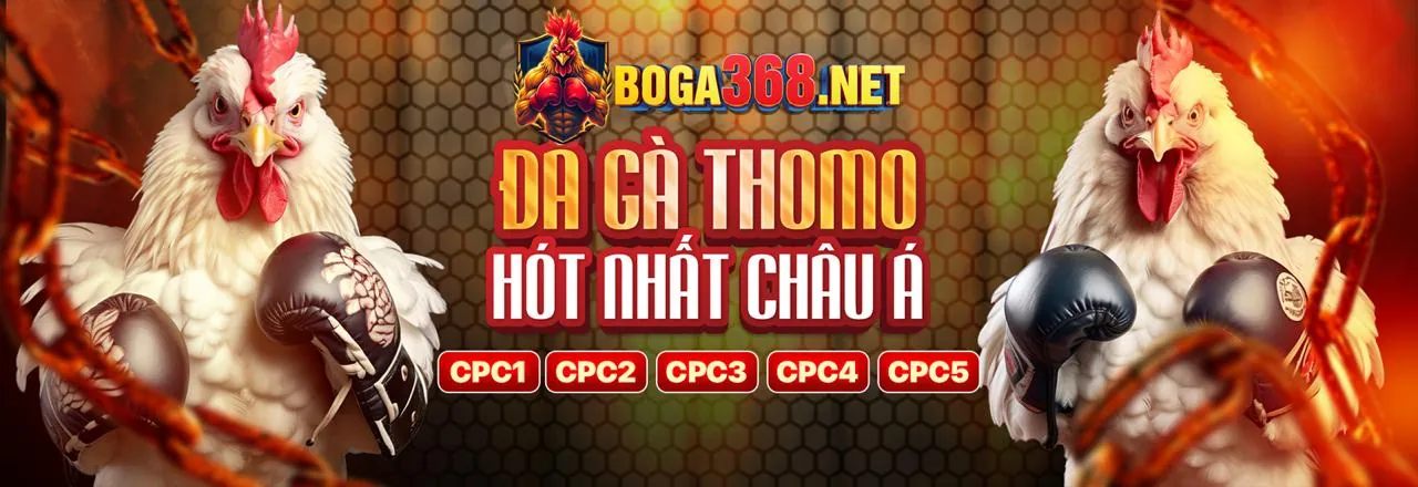 Tìm liên kết Viva88 trên mạng xã hội