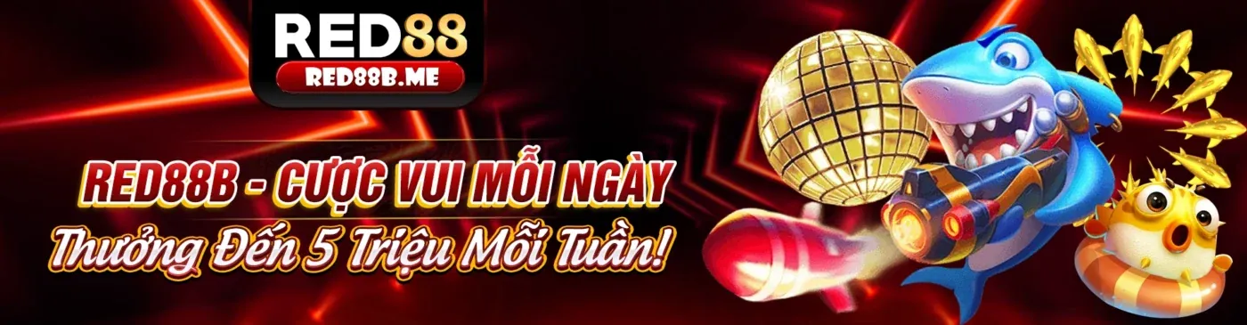 Điều khoản dịch vụ viva88 - Nền tảng cá cược an toàn